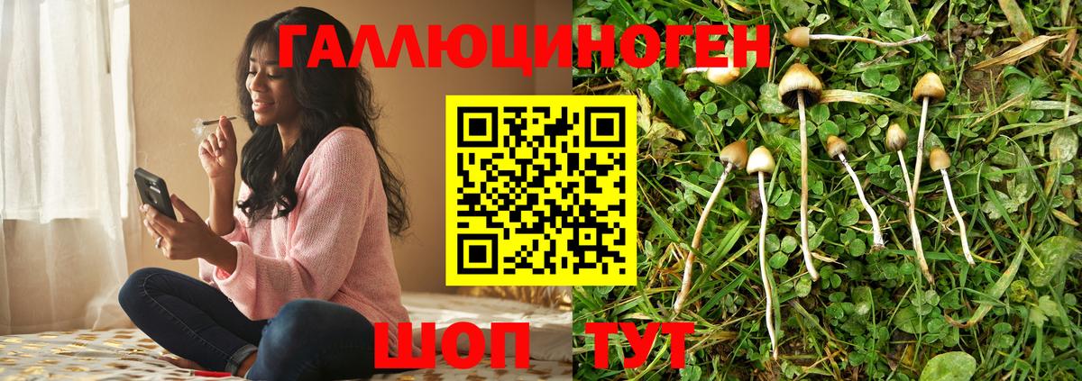 Псилоцибиновые грибы прущие грибы  Вход с VPN  Спасск-Дальний  продажа наркотиков  Псилоцибиновые грибы Psilocybe 