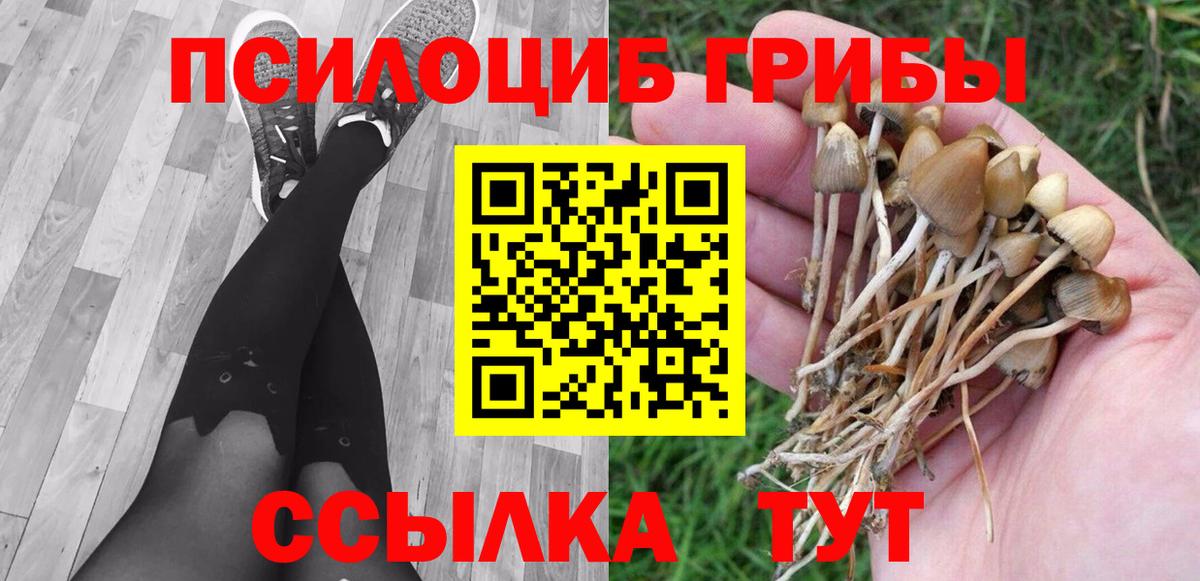 Псилоцибиновые грибы GOLDEN TEACHER Спасск-Дальний